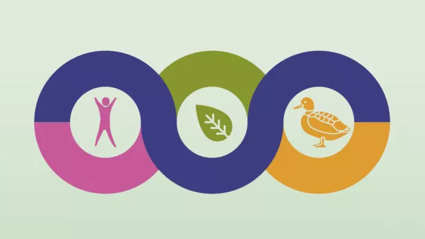 Cinco agencias europeas se unen para facilitar la implantación del enfoque One Health