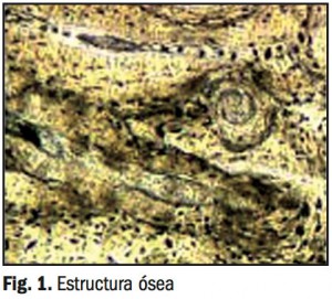 productos-sanitarios01