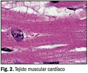 productos-sanitarios02