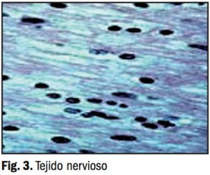 productos-sanitarios03