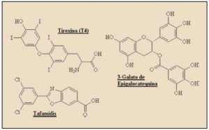 nuevos-medicamentos-31