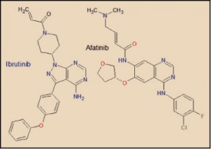 Ibrutinib_fmt