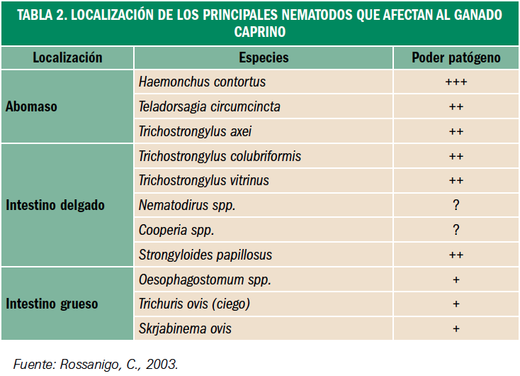 PAM_410_21_118-124_FARMACIA_VETERINARIA_tabla_02