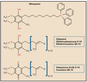 PAM_413_15_483-488_ACTUALIDAD-Farmacoterapeutica-1