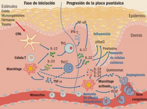 PAM_416_Brodalumab_F1