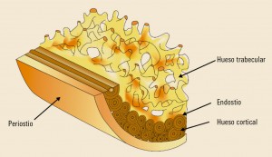 PAM_416__REVISION_1_F1