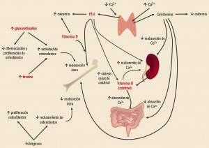 PAM_416__REVISION_1_F3
