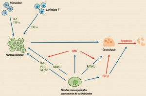 PAM_416__REVISION_1_F4