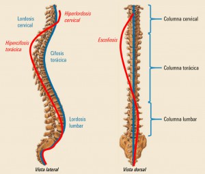 PAM_416__REVISION_1_F7