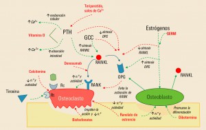 PAM_416__REVISION_1_F8