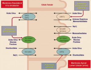 PAM_418__Evaluacion-nuevos-farmacos_F2
