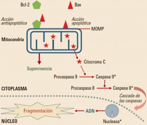 PAM_418__REVISION_4_F2