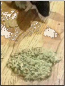 FARMACIA_VETERINARIA-2