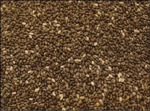 Plantas Medicinales -_fmt1