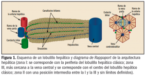 PAM_425_02_736-758_REVISION_1-f1