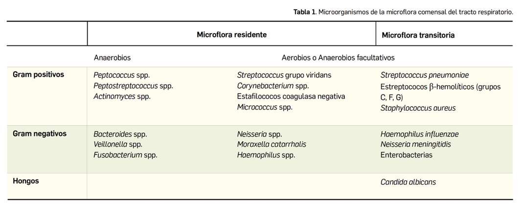 PAM428_2_1_Revisi_n_Neumon_a_Tabla01