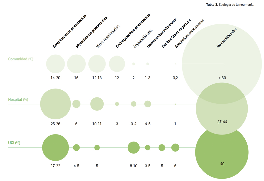 PAM428_2_1_Revisi_n_Neumon_a_Tabla02