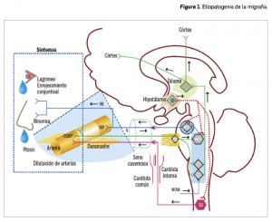 Evaluacion_nuevos-farmacos_erenumab_galcazenumab